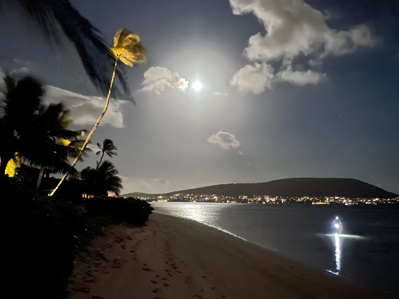night scene showing a person torch fishing along the Hawaiian coastline under a full moon and palm tree