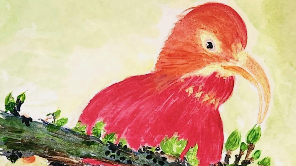 Painting of a red ʻIʻiwipolena bird hanging upside-down from a branch