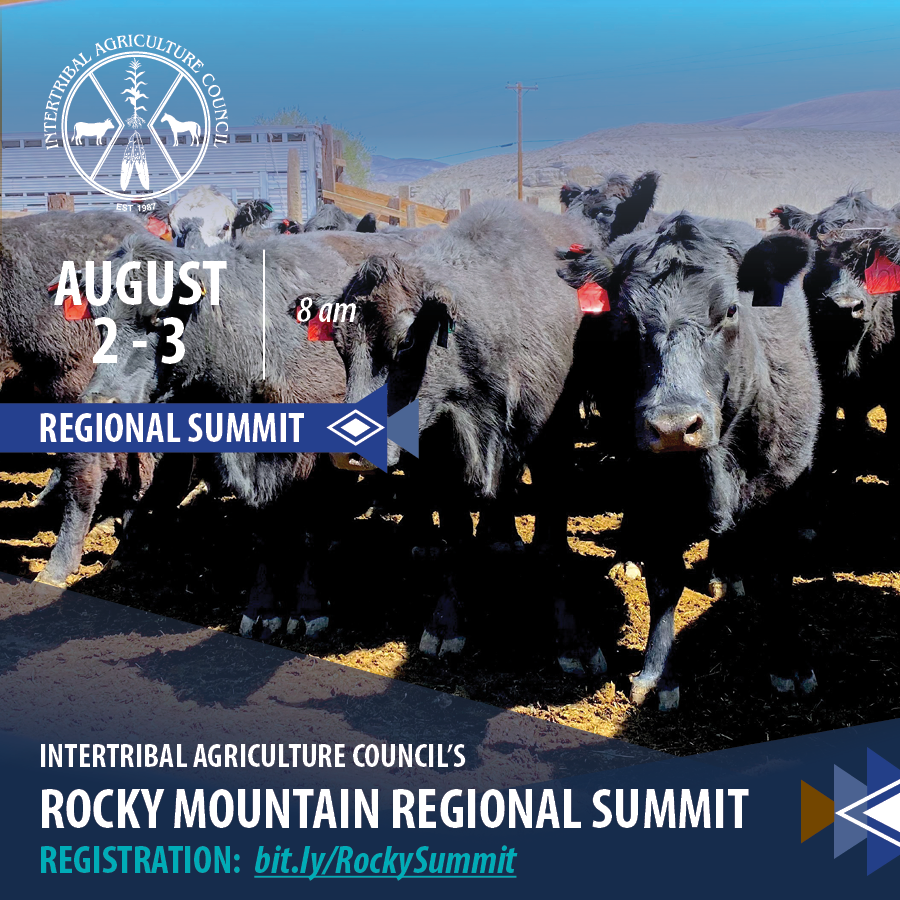 IAC Rocky Mountain Regional Summit