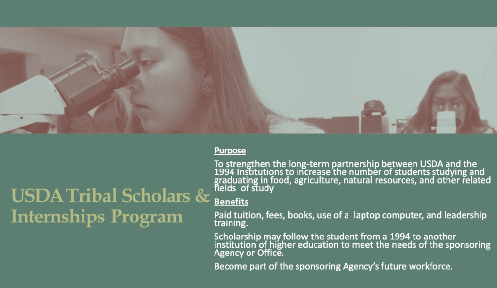 USDA tribal scholarships and internships program