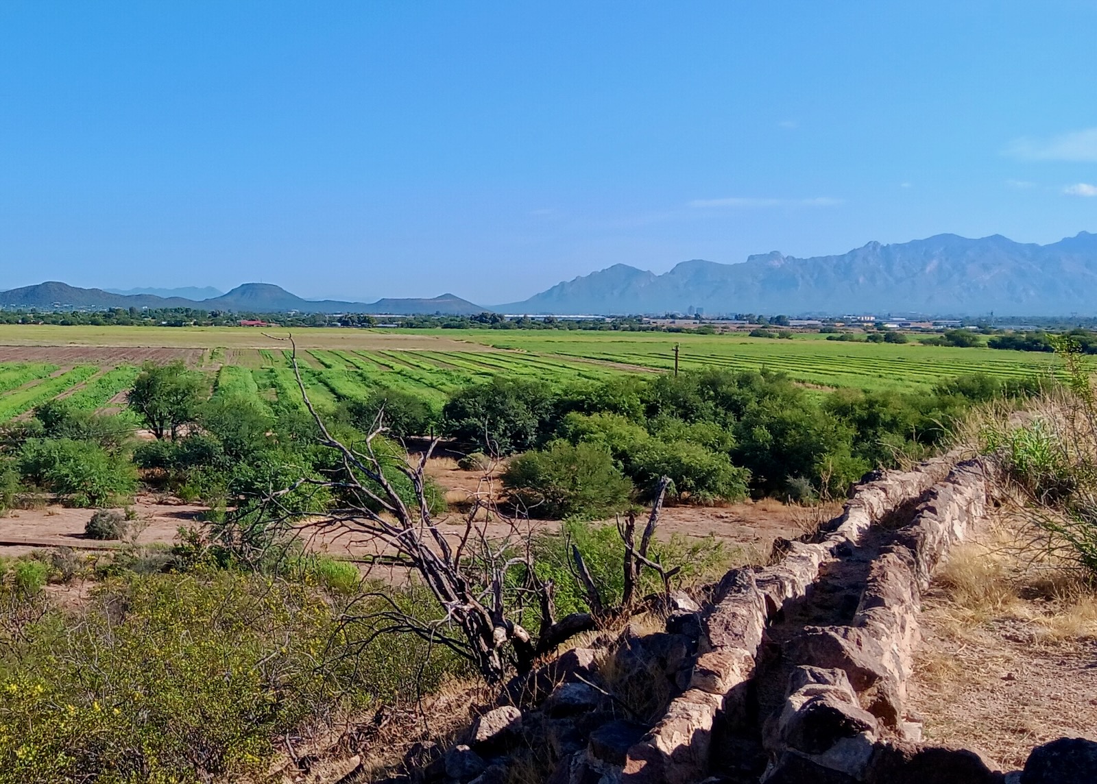 San Xavier Co-Op Fields, Santa Cruz Valley