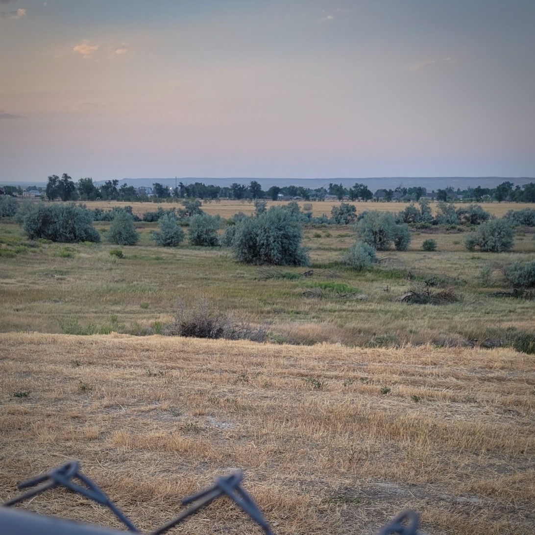 A grassy field at dusk