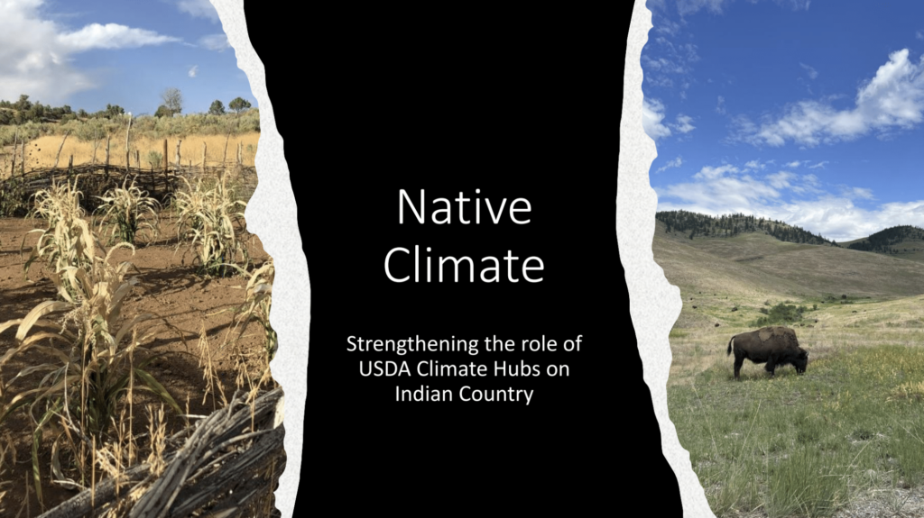 Native Climate overview